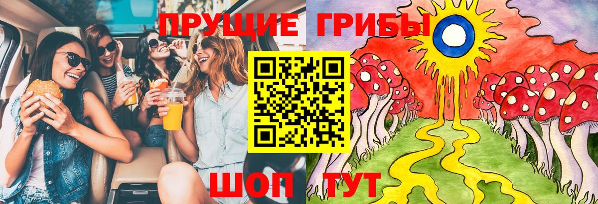 Псилоцибиновые грибы мицелий Таганрог