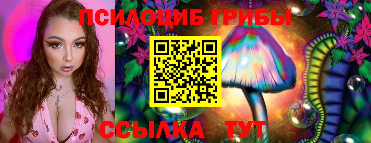 Таганрог  Псилоцибиновые грибы прущие грибы  Вход с VPN 